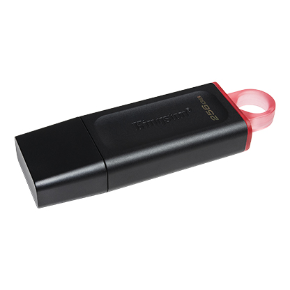 256GB Kingston USB DataTraveler Exodia USB 3.2 Gen 1 DTX/256GB