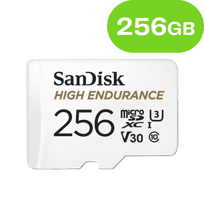 SanDisk High Endurance 256 GB MicroSDHC UHS-I Klasse 10