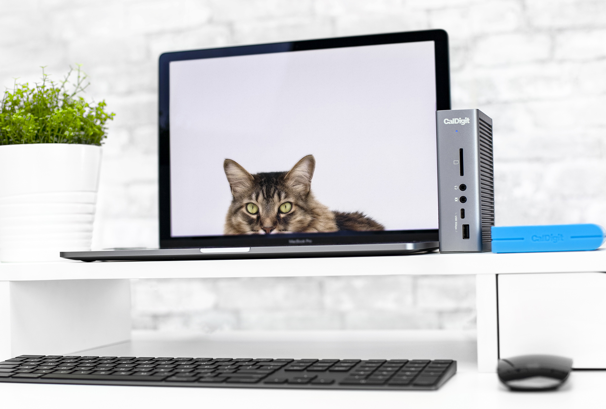 CalDigit TS3 Plus Thunderbolt station 3 Space Grey