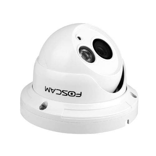 Foscam FI9853EP Outdoor Dome Camera