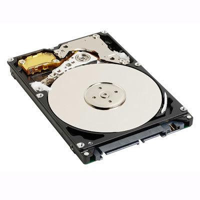 320GB Western Digital WD3200BPVT