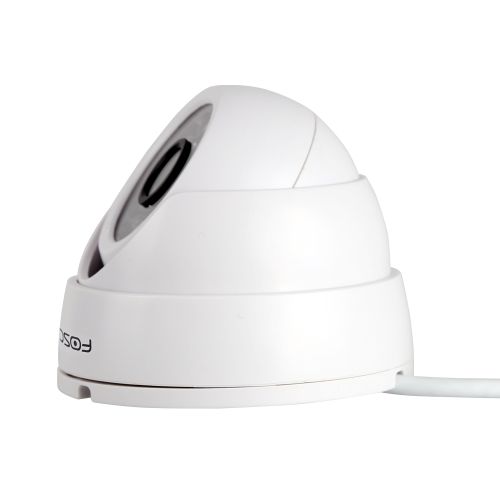 Foscam FI9851P Indoor Dome Camera