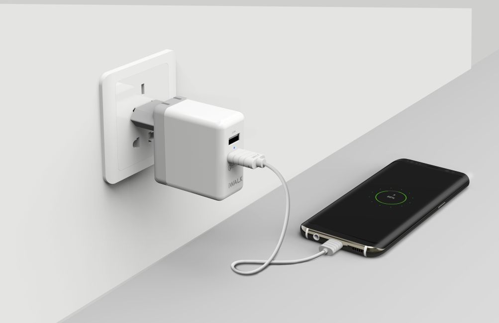 iWalk Leopard Dual USB Quick Charge adapter