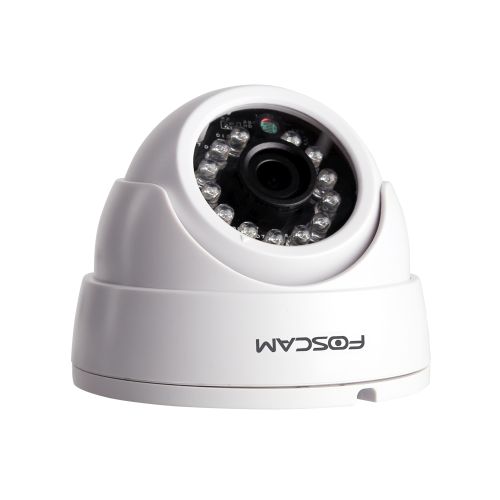 Foscam FI9851P Indoor Dome Camera
