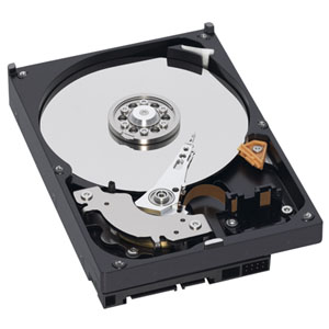 500GB Western Digital WD5000AAKS (SALE15042902)