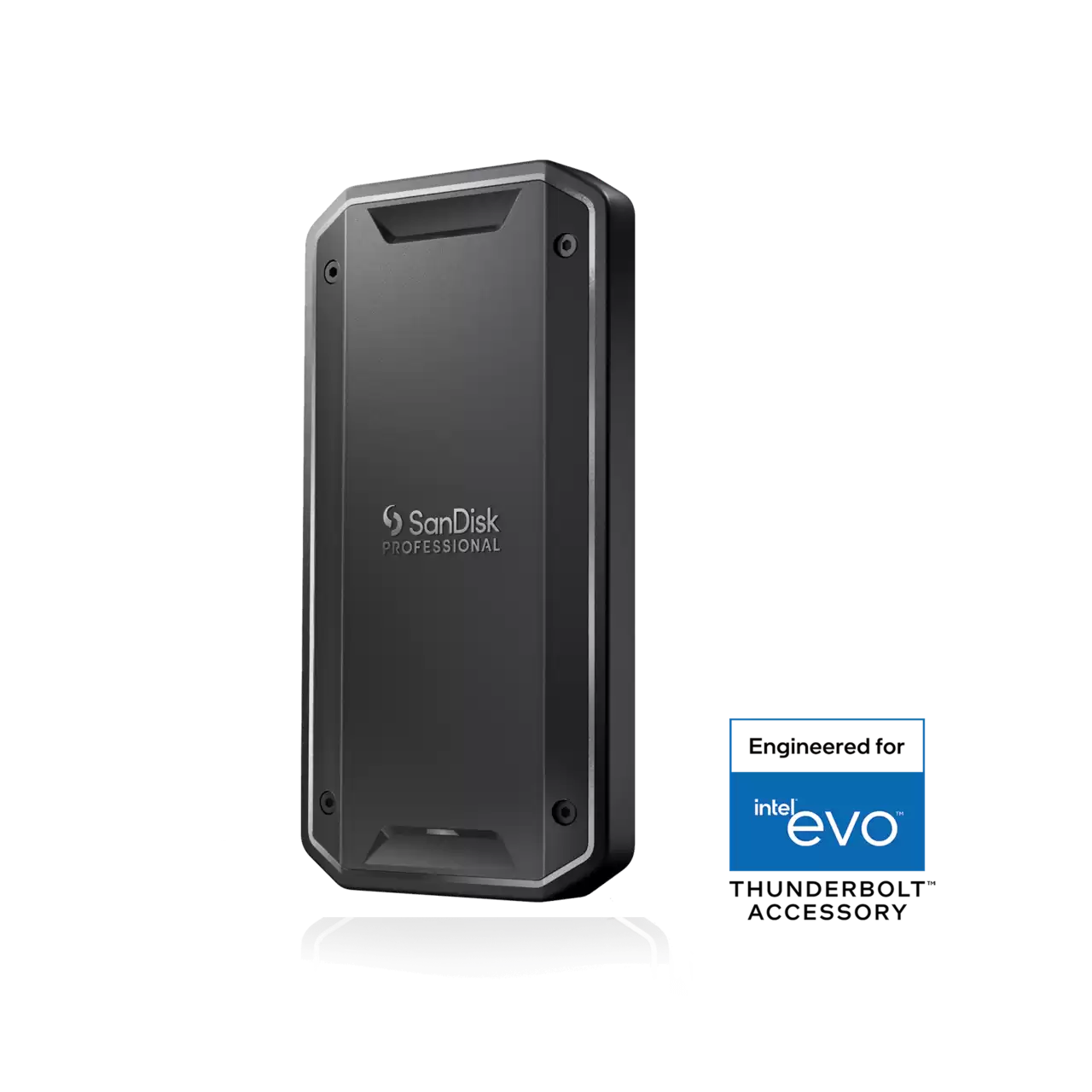 SanDisk Professional Pro G40 2TB Pro G40 External SSD Thunderbolt 3