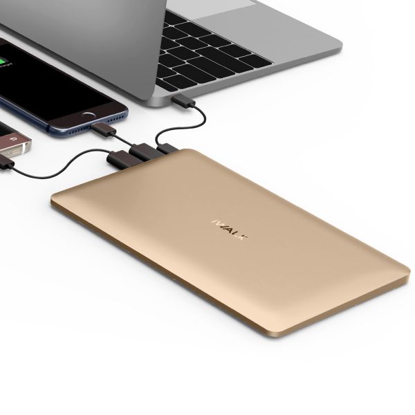 iWalk Chic 20000mAh Quickcharge Backup Batterij Goud