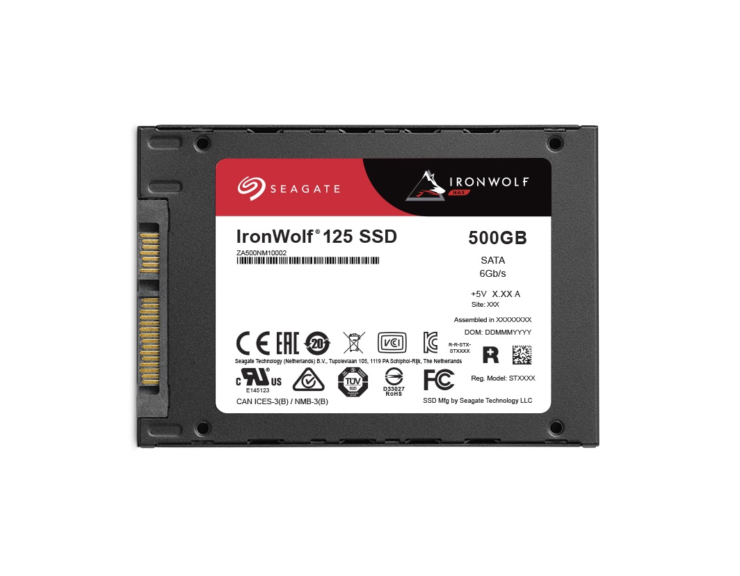 500GB Seagate IronWolf 125 SSD ZA500NM1A002