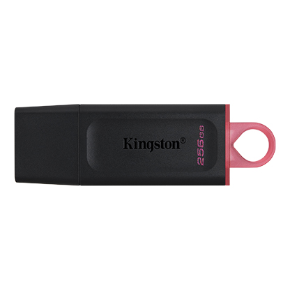 256GB Kingston USB DataTraveler Exodia USB 3.2 Gen 1 DTX/256GB